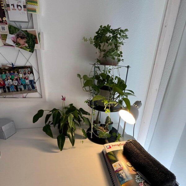 Vinyl Mini - Ein kompaktes Regal aus kleinen Schallplatten- Deko Regal – Bild 8