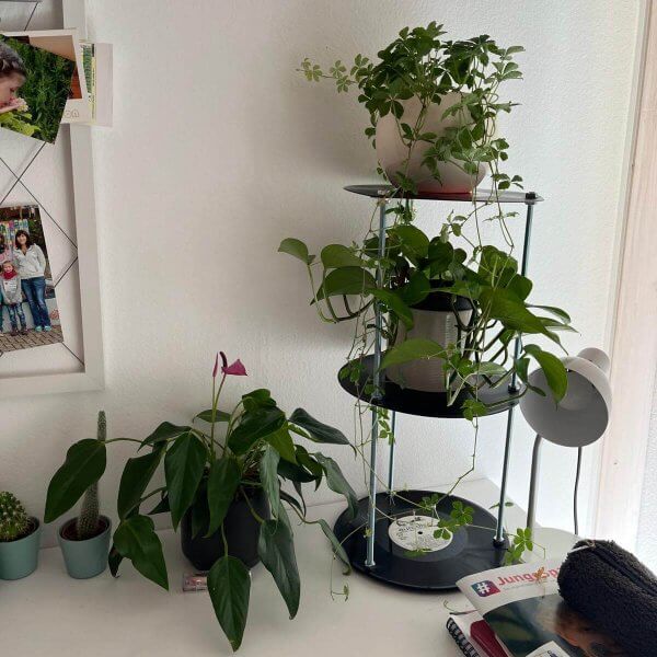 Vinyl Mini - Ein kompaktes Regal aus kleinen Schallplatten- Deko Regal – Bild 3